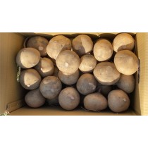 豆薯一箱25斤免運費